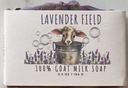 Lavender Field
