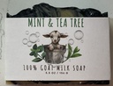 Mint & Tea Tree