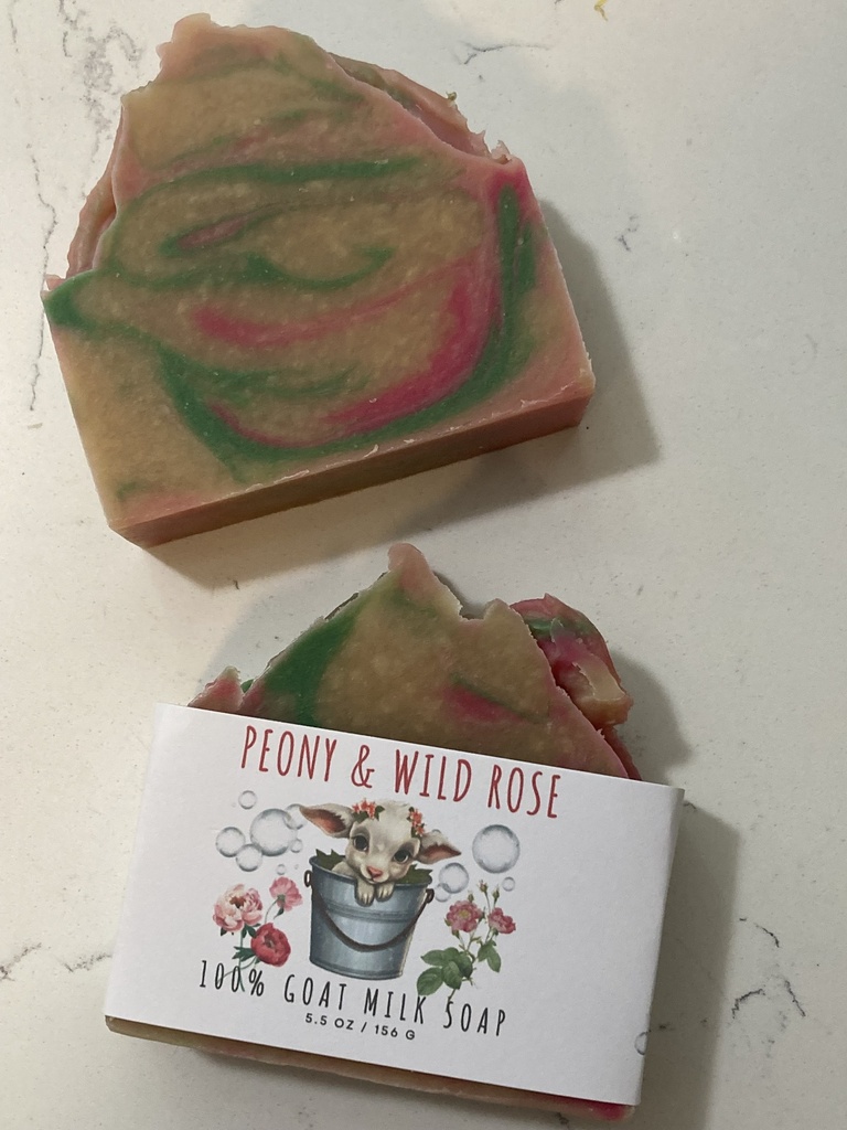 Peony & Wild Rose