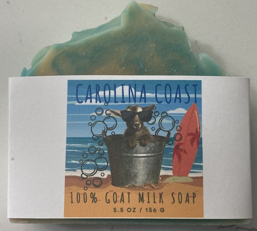 Carolina Coast