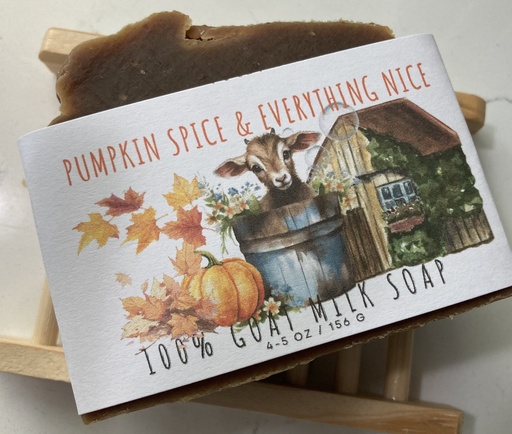 Pumpkin Spice & Everything Nice